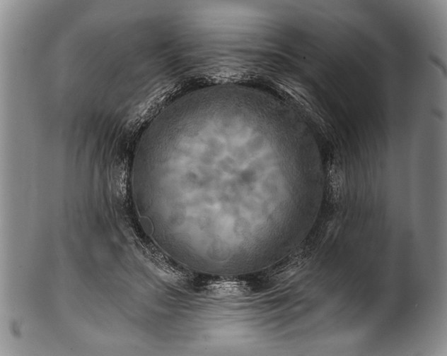 X0000101110499200806261416