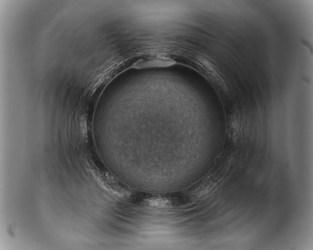 X0000101110500200806261416