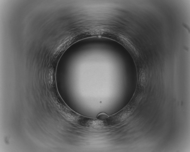 X0000101110501200806261416