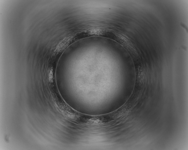 X0000101110502200806261416