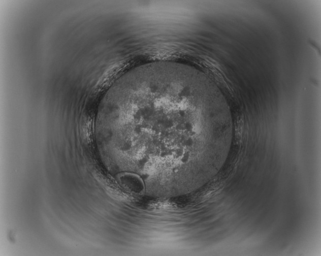 X0000101110503200806261416