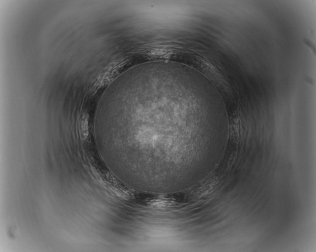 X0000101110504200806261416