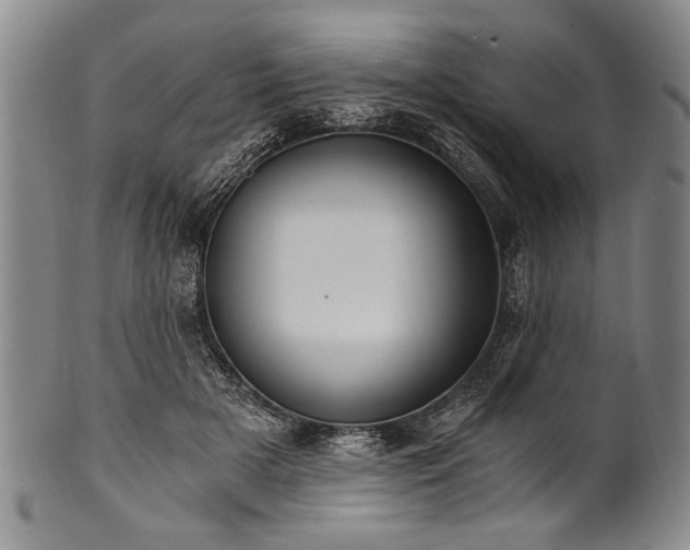 X0000101110505200806261416