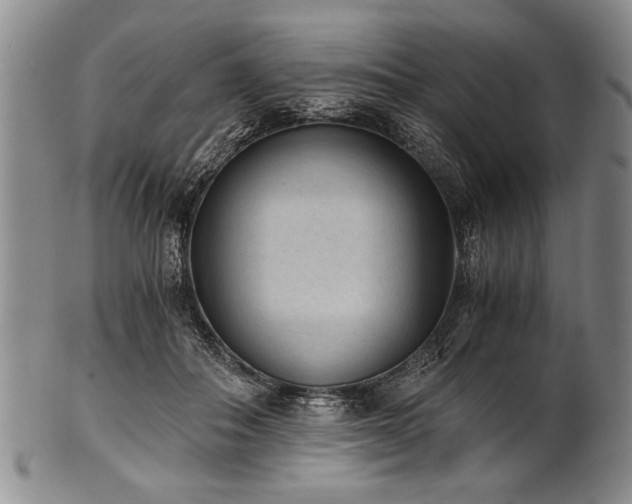 X0000101110506200806261416