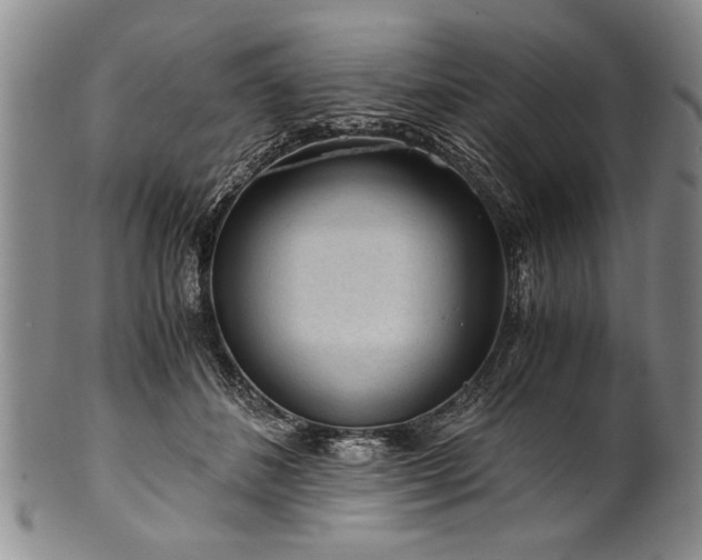 X0000101110508200806261416