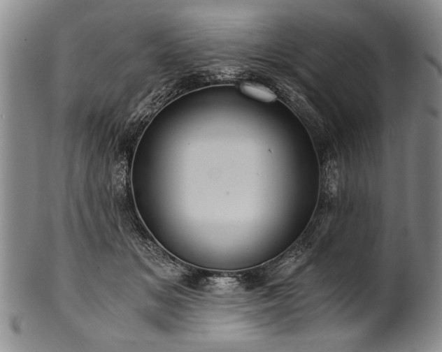 X0000101110509200806261416