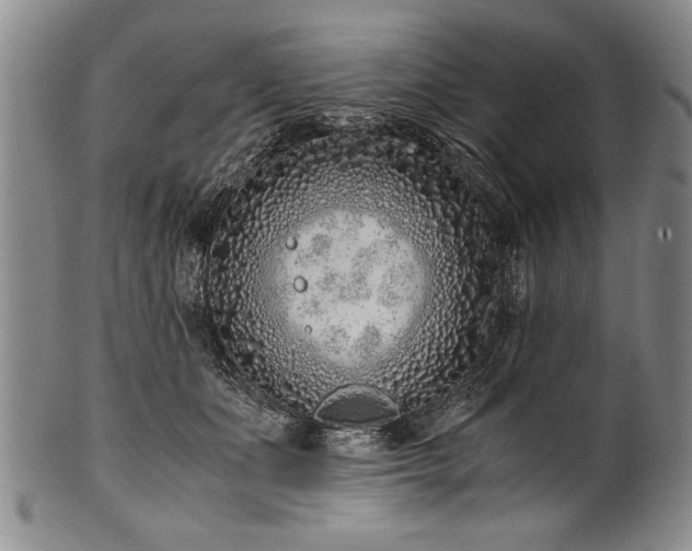 X0000101110511200806261416