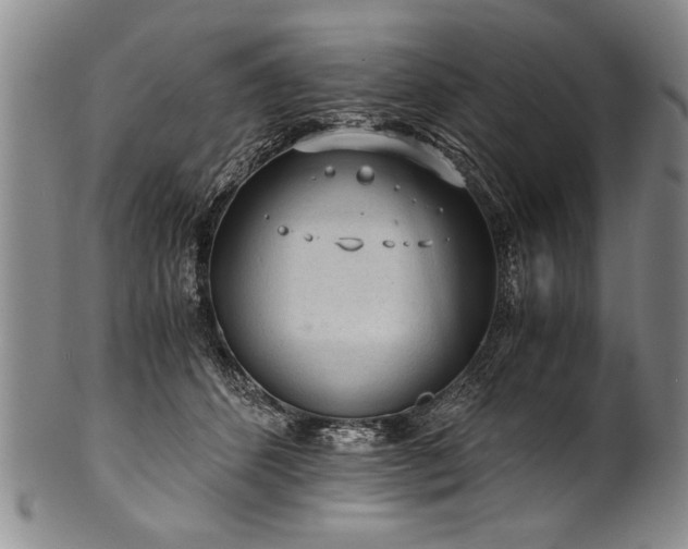 X0000101110512200806261416