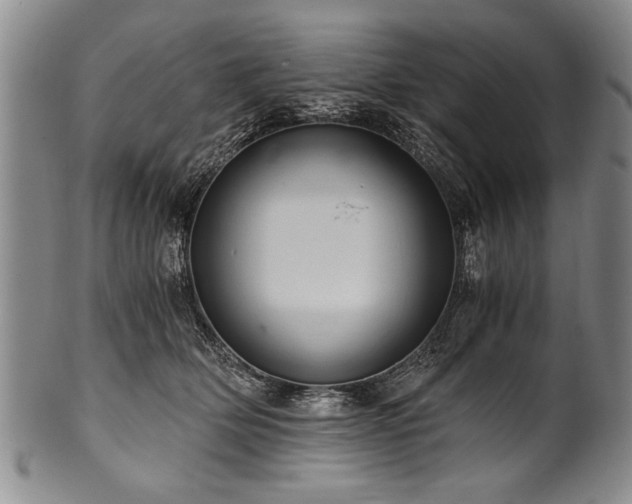 X0000101110514200806261416