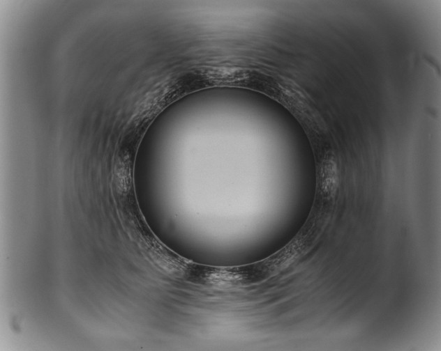 X0000101110515200806261416