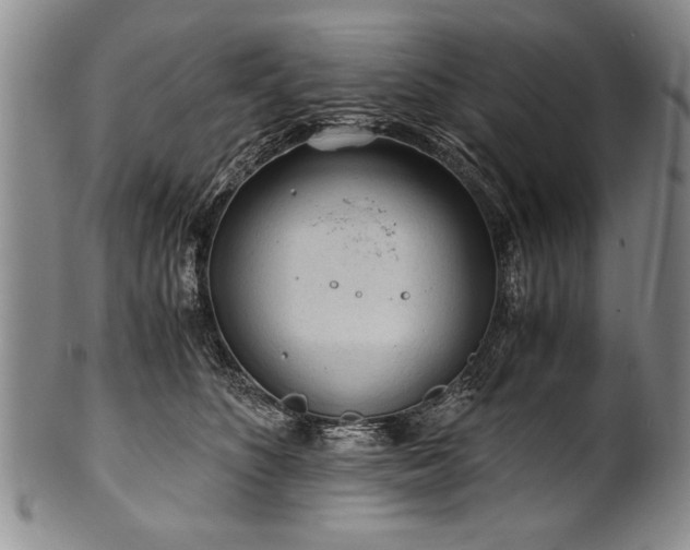 X0000101110516200806261416