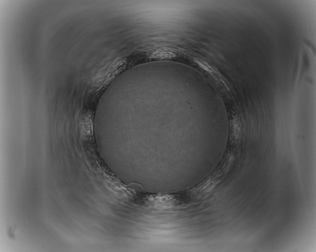 X0000101110517200806261416