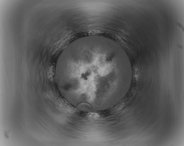 X0000101110519200806261416