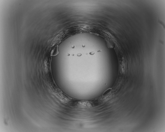 X0000101110520200806261415