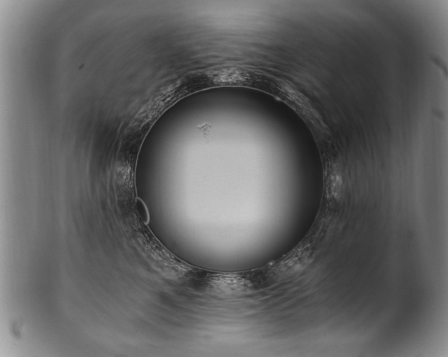 X0000101110521200806261415