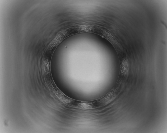 X0000101110522200806261415