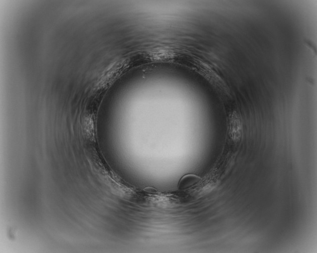 X0000101110523200806261415