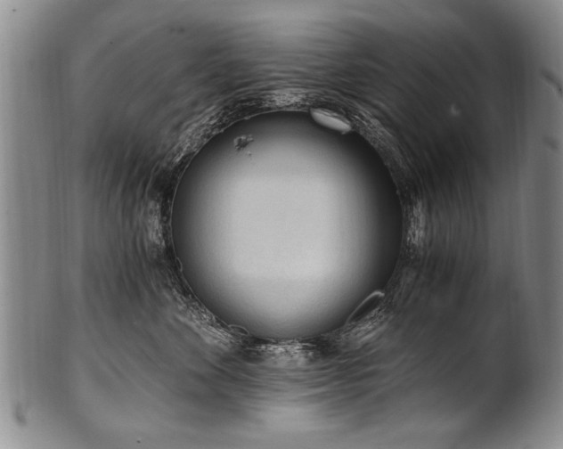X0000101110524200806261415