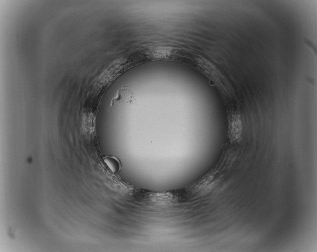 X0000101110525200806261415