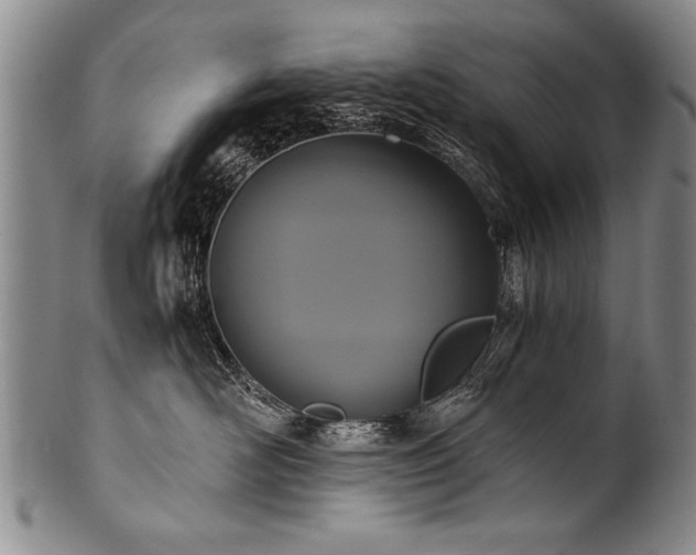 X0000101110526200806261415