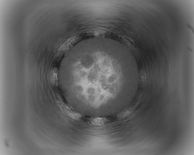 X0000101110527200806261415