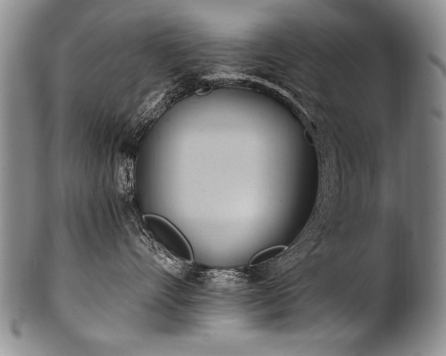 X0000101110528200806261415