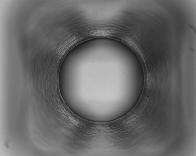 X0000101110529200806261415