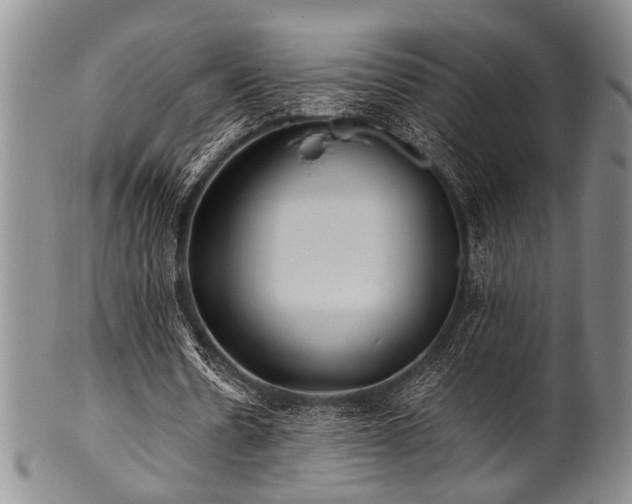X0000101110530200806261415