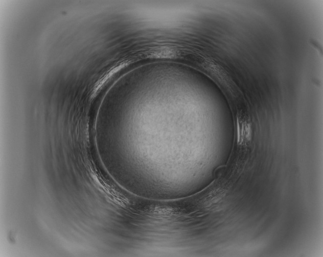 X0000101110531200806261415