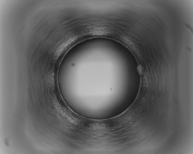 X0000101110535200806261415
