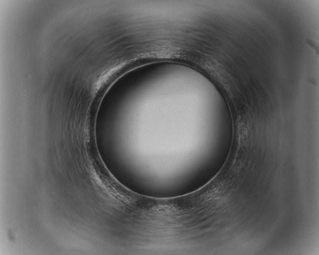 X0000101110536200806261415