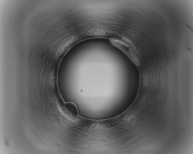 X0000101110538200806261415