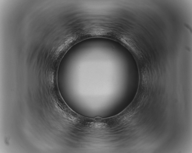 X0000101110539200806261415