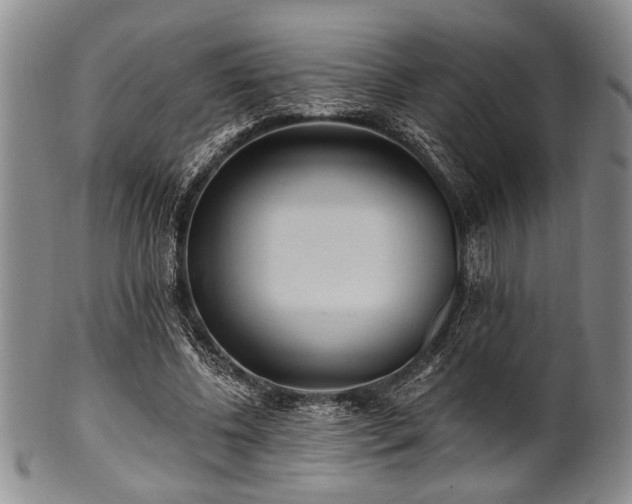 X0000101110540200806261415