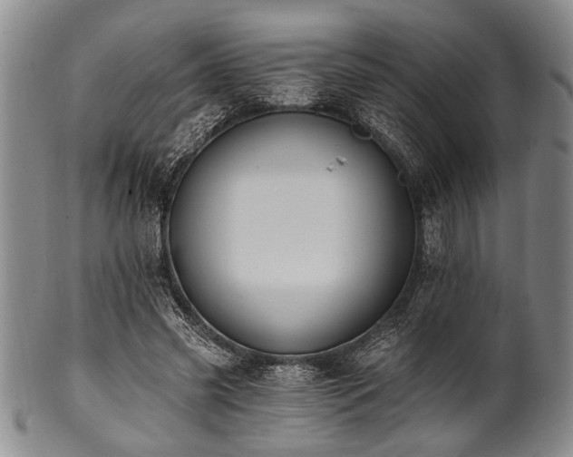 X0000101110541200806261415
