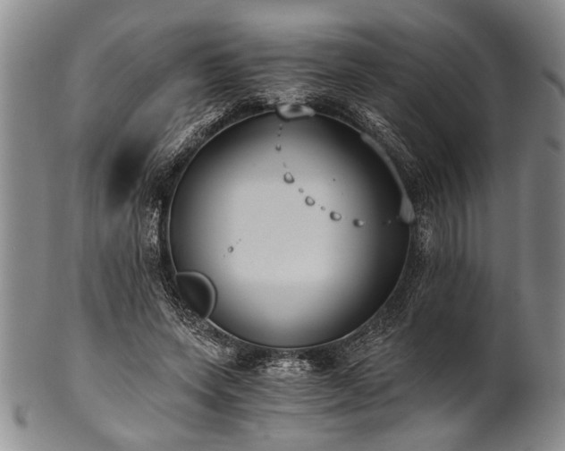 X0000101110543200806261415