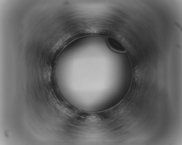 X0000101110544200806261415