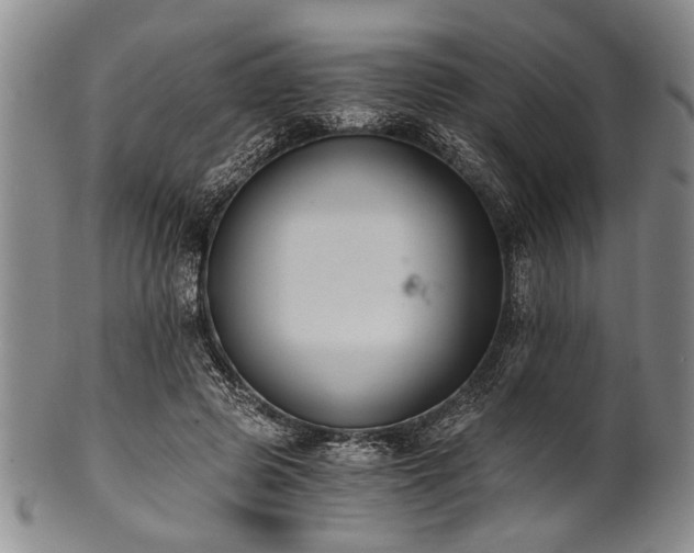 X0000101110545200806261415