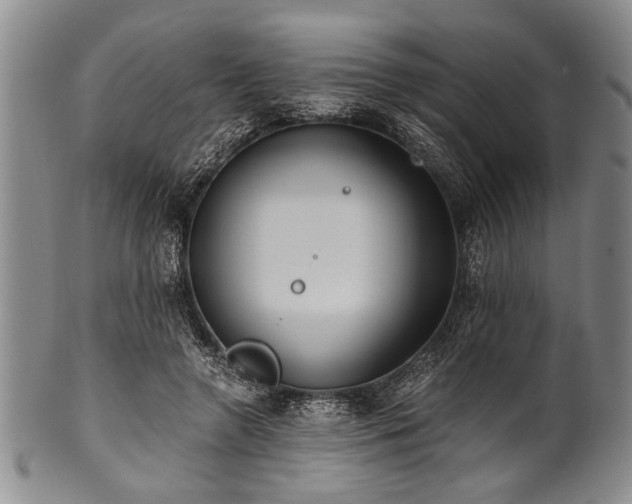 X0000101110546200806261415