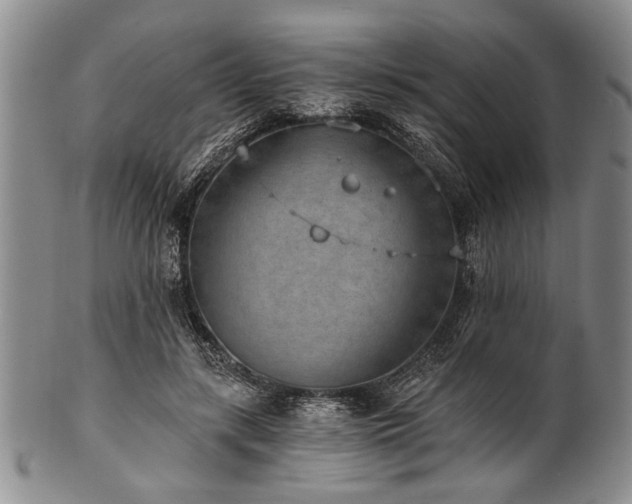 X0000101110547200806261415