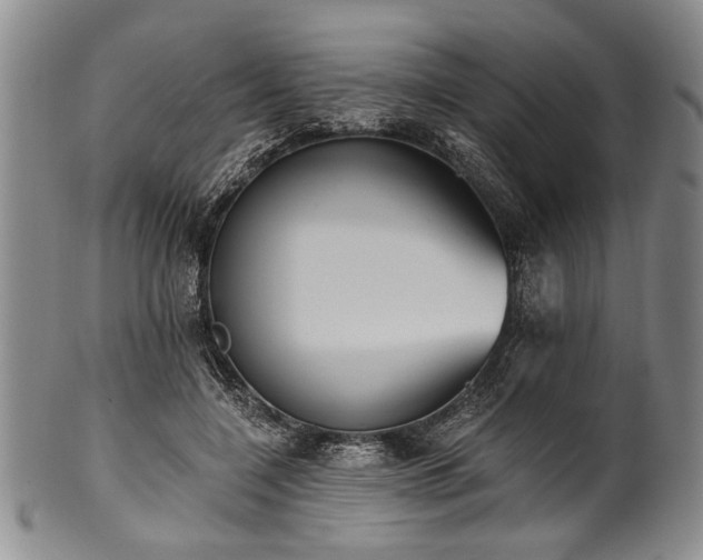 X0000101110548200806261415