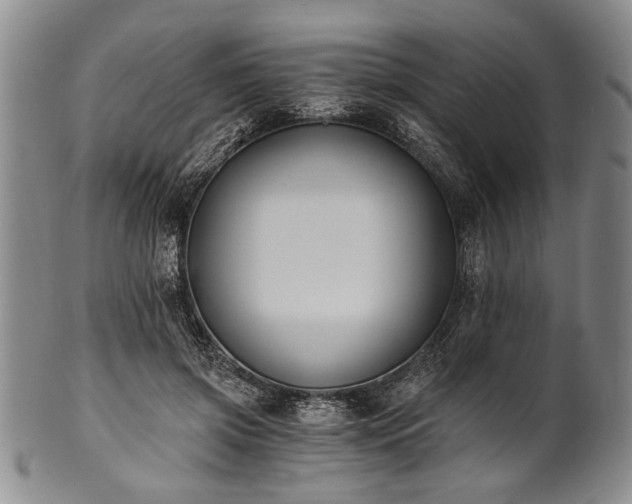 X0000101110549200806261415