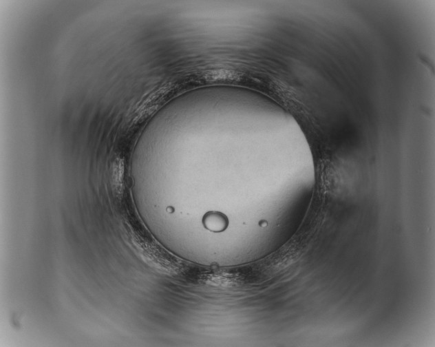 X0000101110550200806261415