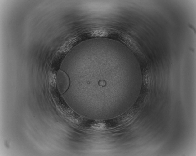 X0000101110551200806261415