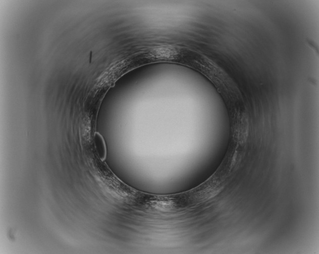 X0000101110552200806261415