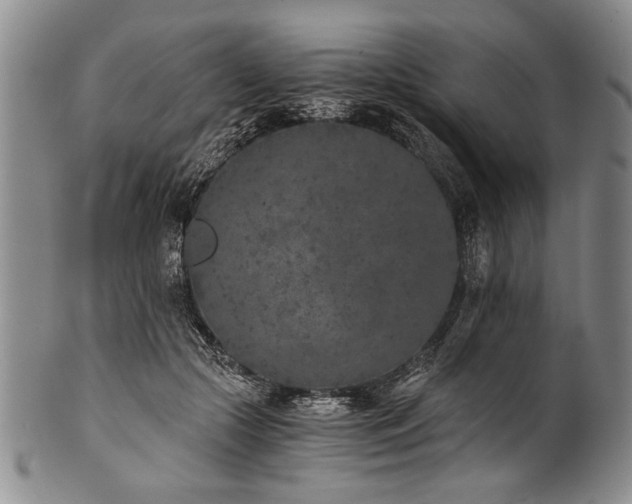 X0000101110553200806261415