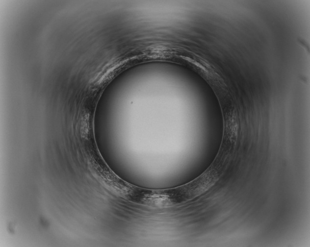 X0000101110554200806261415