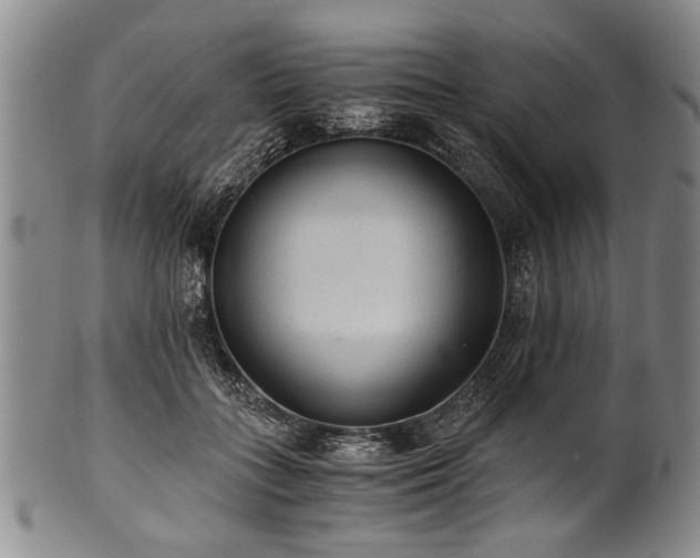 X0000101110555200806261415