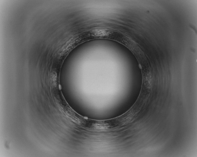 X0000101110556200806261415