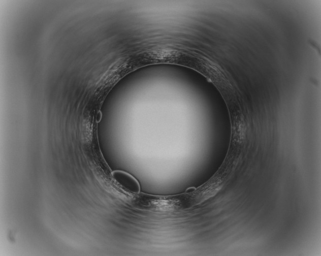 X0000101110558200806261415